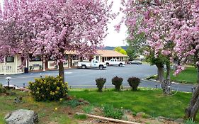 The Burney Motel